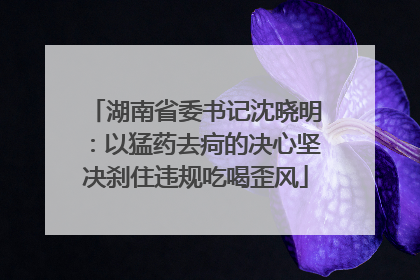 湖南省委书记沈晓明：以猛药去疴的决心坚决刹住违规吃喝歪风
