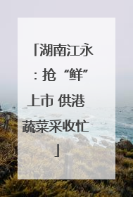 湖南江永：抢“鲜”上市 供港蔬菜采收忙