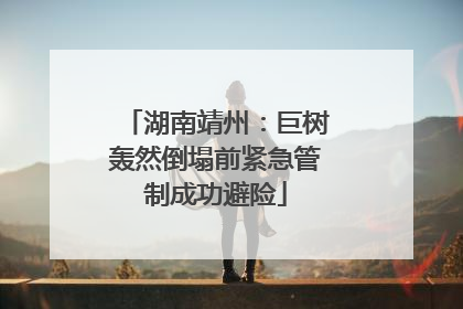 湖南靖州：巨树轰然倒塌前紧急管制成功避险