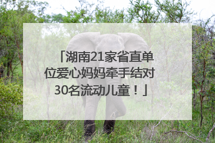 湖南21家省直单位爱心妈妈牵手结对30名流动儿童！
