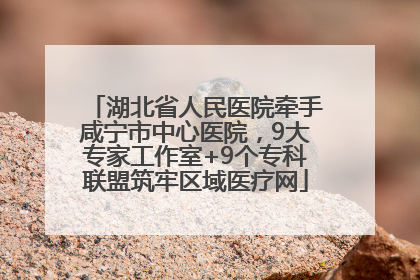 湖北省人民医院牵手咸宁市中心医院，9大专家工作室+9个专科联盟筑牢区域医疗网