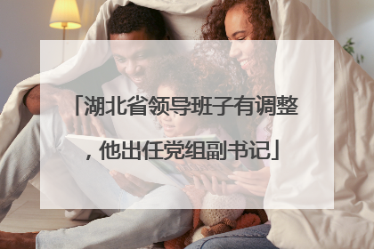 湖北省领导班子有调整，他出任党组副书记