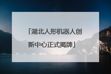湖北人形机器人创新中心正式揭牌