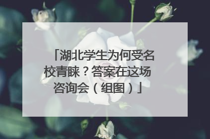 湖北学生为何受名校青睐？答案在这场咨询会（组图）