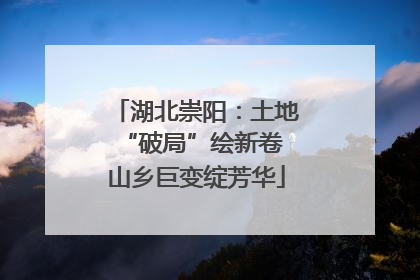 湖北崇阳：土地“破局”绘新卷 山乡巨变绽芳华