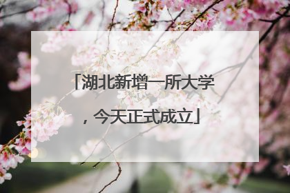 湖北新增一所大学，今天正式成立
