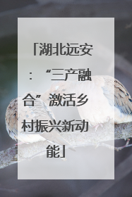 湖北远安：“三产融合”激活乡村振兴新动能