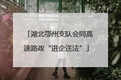湖北鄂州支队会同高速路政“进企送法”