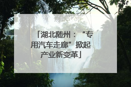 湖北随州：“专用汽车走廊”掀起产业新变革