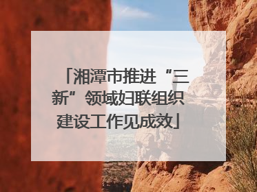 湘潭市推进“三新”领域妇联组织建设工作见成效