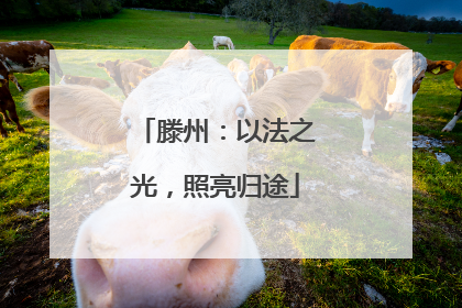 滕州：以法之光，照亮归途
