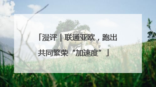 漫评｜联通亚欧，跑出共同繁荣“加速度”
