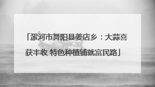 漯河市舞阳县姜店乡：大蒜喜获丰收 特色种植铺就富民路