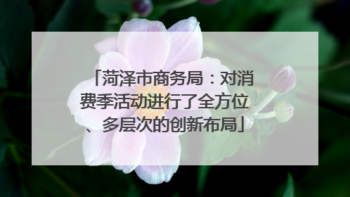菏泽市商务局：对消费季活动进行了全方位、多层次的创新布局