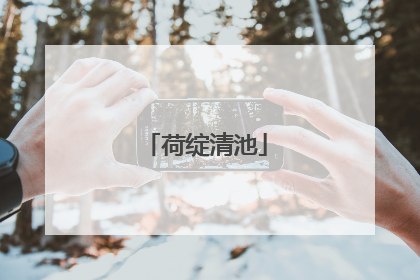 荷绽清池