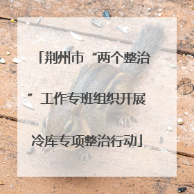荆州市“两个整治”工作专班组织开展冷库专项整治行动