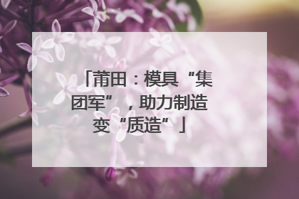 莆田：模具“集团军”，助力制造变“质造”