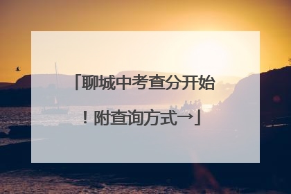 聊城中考查分开始！附查询方式→