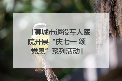 聊城市退役军人医院开展“庆七一 颂党恩”系列活动