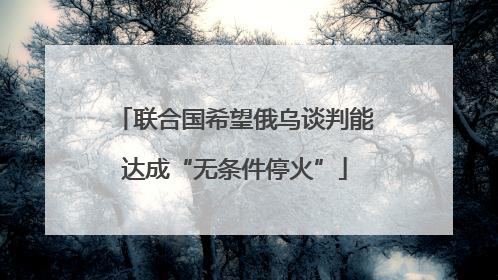 联合国希望俄乌谈判能达成“无条件停火”