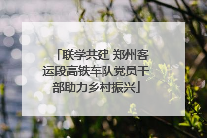 联学共建 郑州客运段高铁车队党员干部助力乡村振兴