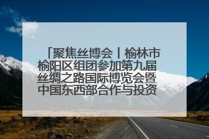 聚焦丝博会丨榆林市榆阳区组团参加第九届丝绸之路国际博览会暨中国东西部合作与投资贸易洽谈会