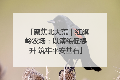 聚焦北大荒｜红旗岭农场：以演练促提升 筑牢平安基石