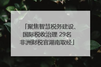 聚焦智慧税务建设、国际税收治理 29名非洲财税官湖南取经