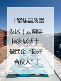 聚焦高质量发展｜云南厚植发展沃土 做民企“最好合伙人”