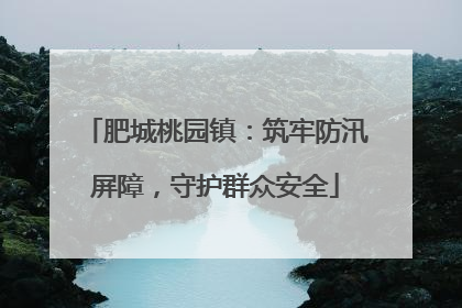 肥城桃园镇：筑牢防汛屏障，守护群众安全