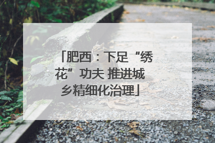 肥西：下足“绣花”功夫 推进城乡精细化治理