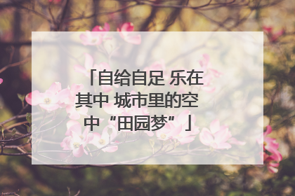 自给自足 乐在其中 城市里的空中“田园梦”
