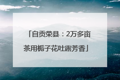 自贡荣县：2万多亩茶用栀子花吐露芳香