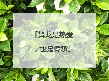 舞龙是热爱，也是传承