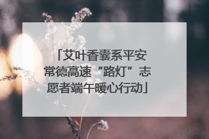 艾叶香囊系平安 常德高速“路灯”志愿者端午暖心行动