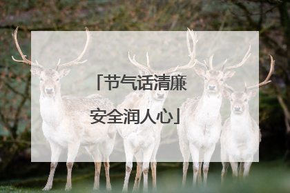 节气话清廉 安全润人心