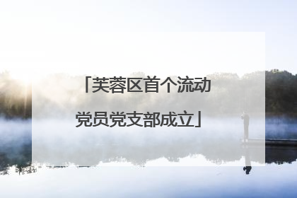 芙蓉区首个流动党员党支部成立