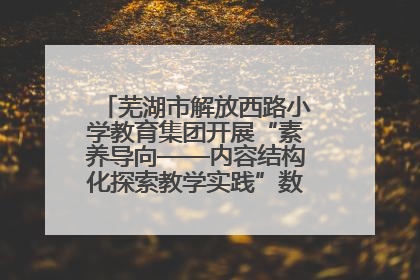 芜湖市解放西路小学教育集团开展“素养导向——内容结构化探索教学实践”数学专题研讨活动