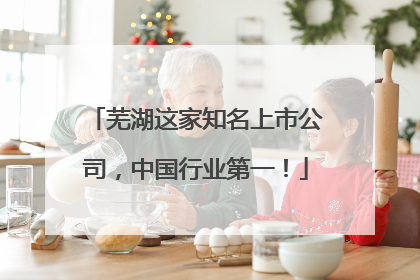 芜湖这家知名上市公司，中国行业第一！