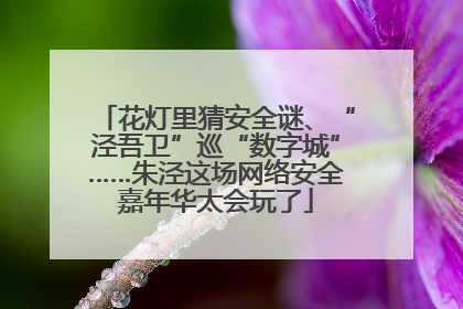 花灯里猜安全谜、“泾吾卫”巡“数字城”……朱泾这场网络安全嘉年华太会玩了