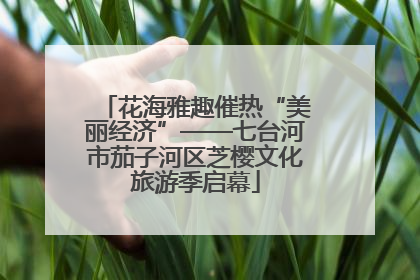 花海雅趣催热“美丽经济”——七台河市茄子河区芝樱文化旅游季启幕