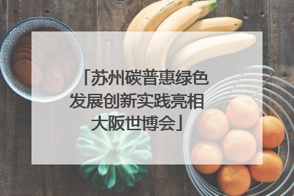 苏州碳普惠绿色发展创新实践亮相大阪世博会