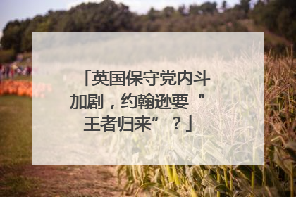 英国保守党内斗加剧，约翰逊要“王者归来”？