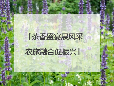 茶香盛宴展风采 农旅融合促振兴