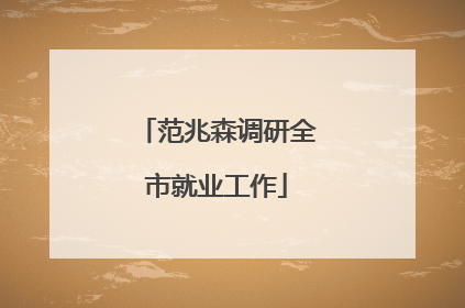 范兆森调研全市就业工作