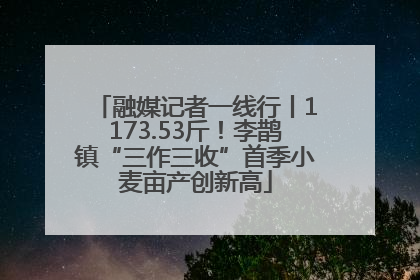 融媒记者一线行丨1173.53斤！李鹊镇“三作三收”首季小麦亩产创新高