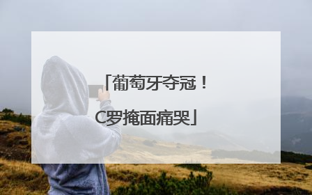 葡萄牙夺冠！C罗掩面痛哭
