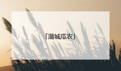 蒲城瓜农