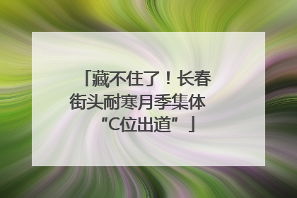 藏不住了！长春街头耐寒月季集体“C位出道”