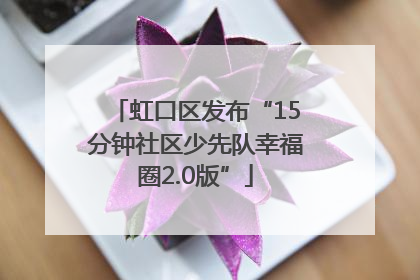 虹口区发布“15分钟社区少先队幸福圈2.0版”